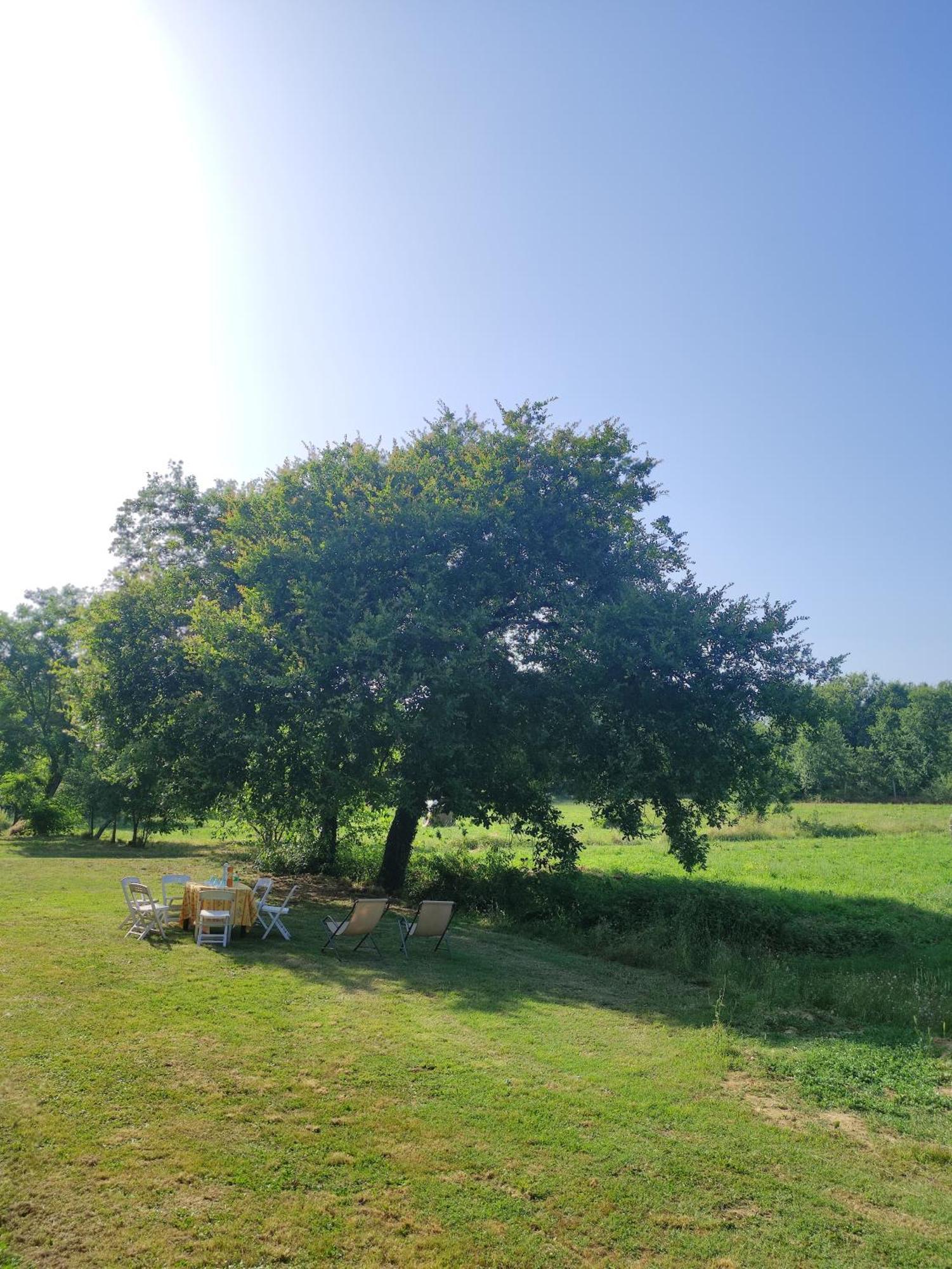 Appartamento Il Picchio Verde Алтопашо Екстериор снимка